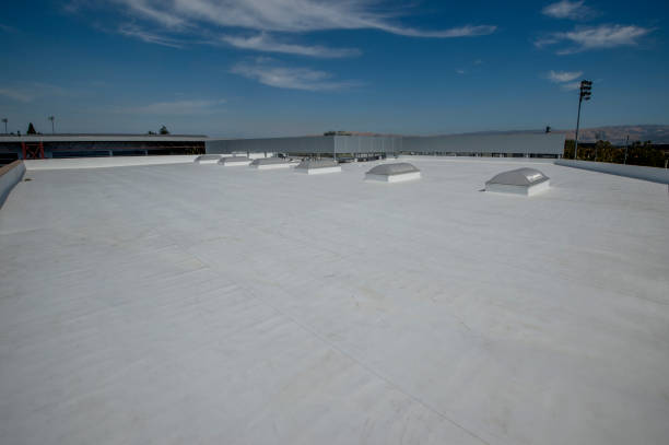 Best Flat Roofing  in Louisville, KY